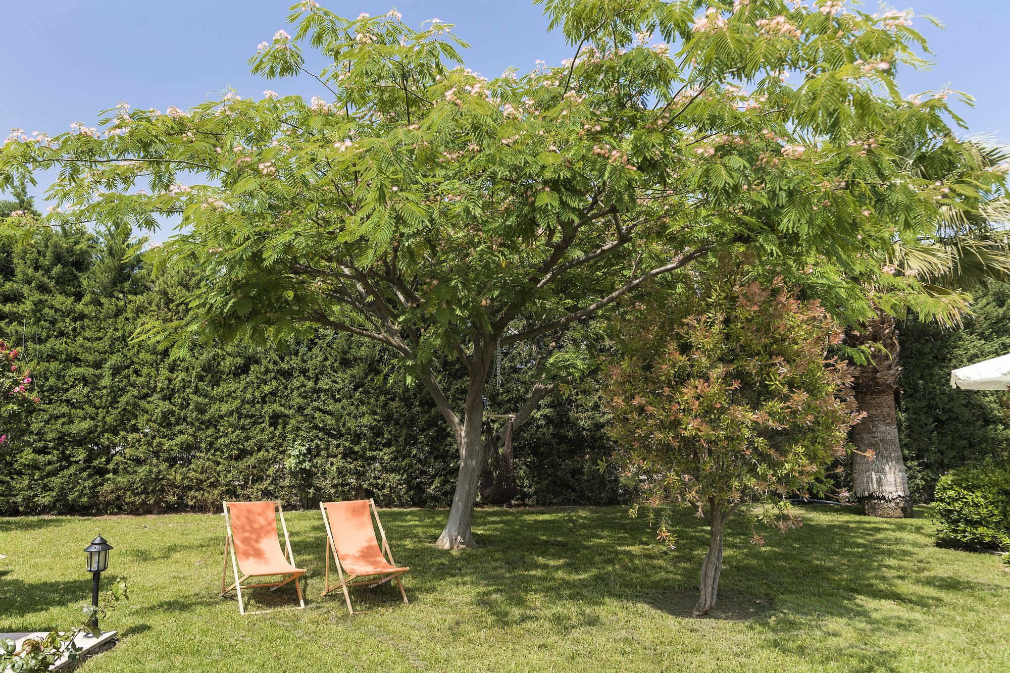 Royal Classico Villa コリンビア エクステリア 写真